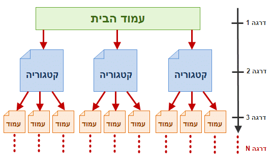 מבנה היררכיית העמודים באתר