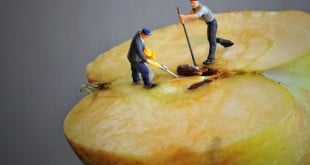 קידום אתרים קטנים