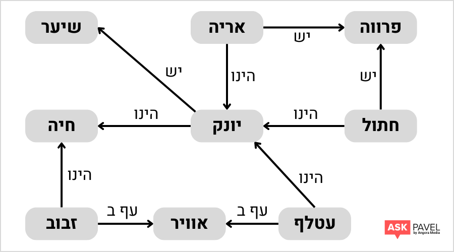 דוגמא לרשת רעיונית